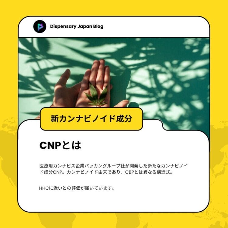 CNP liquid indica 割引中 CNP liquid indica 割引中